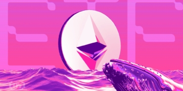 Ethereum Mega Whales Ease Selling Pressure with $185 Million Accumulation