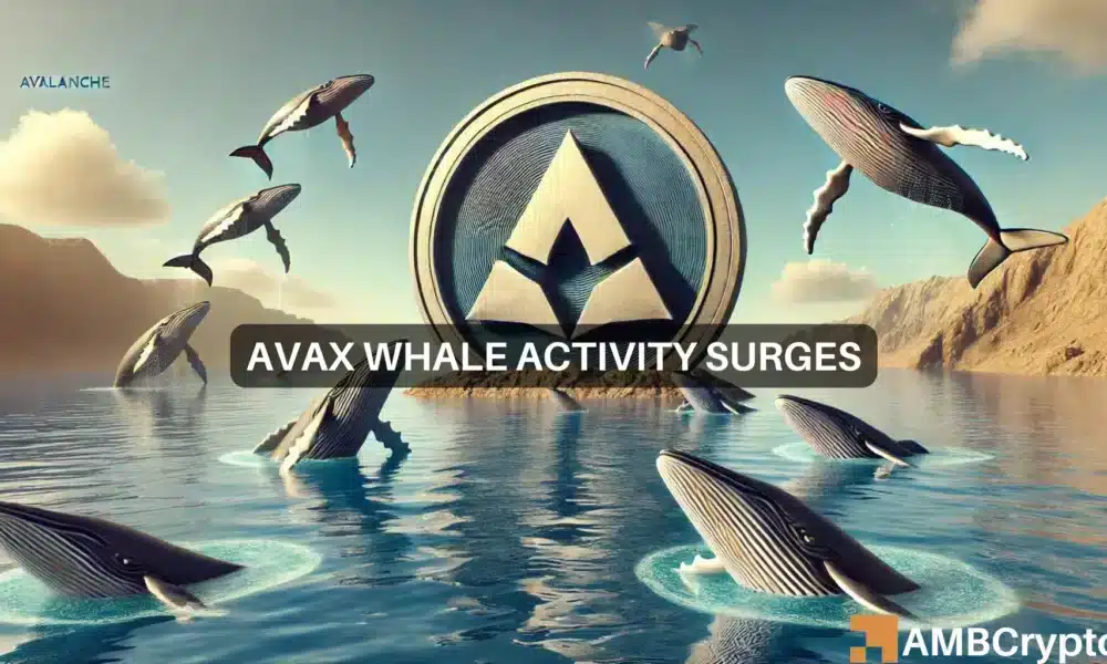 AVAX Whale Transactions Surge 98%: Is a Bull Run on