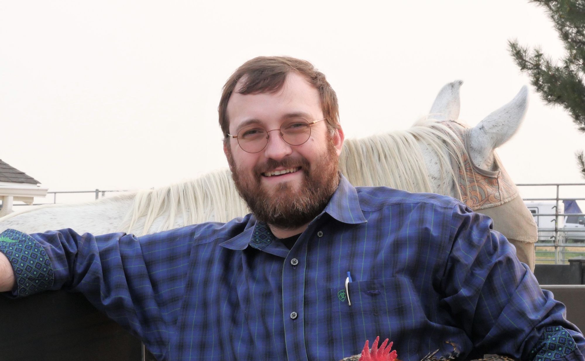 Charles Hoskinson Predicts Bitcoin’s DeFi Market Could Surpass Ethereum and Solana