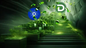 Chinese Whales Shift Focus to DTX Exchange, Exiting BNB and