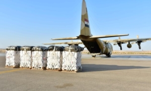 Egypt and UAE's Airdrop of Humanitarian Aid in Gaza Garners