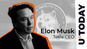 Elon Musk's DOGE Tweet Sparks Excitement in Crypto Community