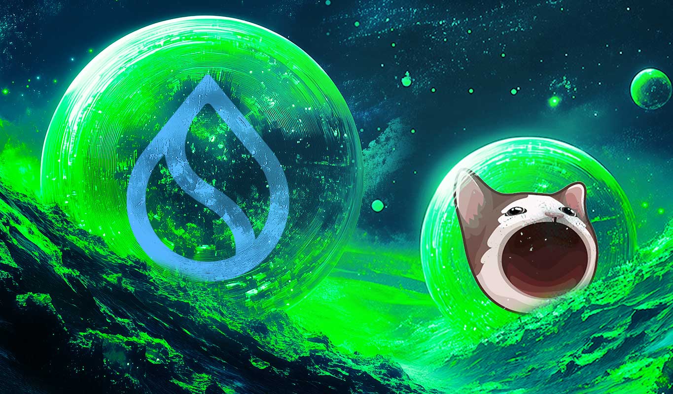 MemeCoin Set to Explode: Expert Forecast Updates on SUI and