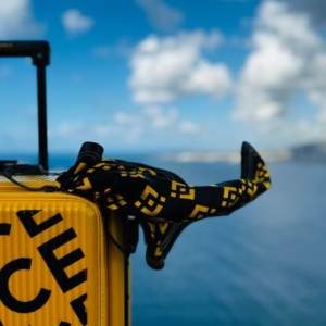 Stablecoin Regulation in Focus: Binance Research's Comprehensive Overview
