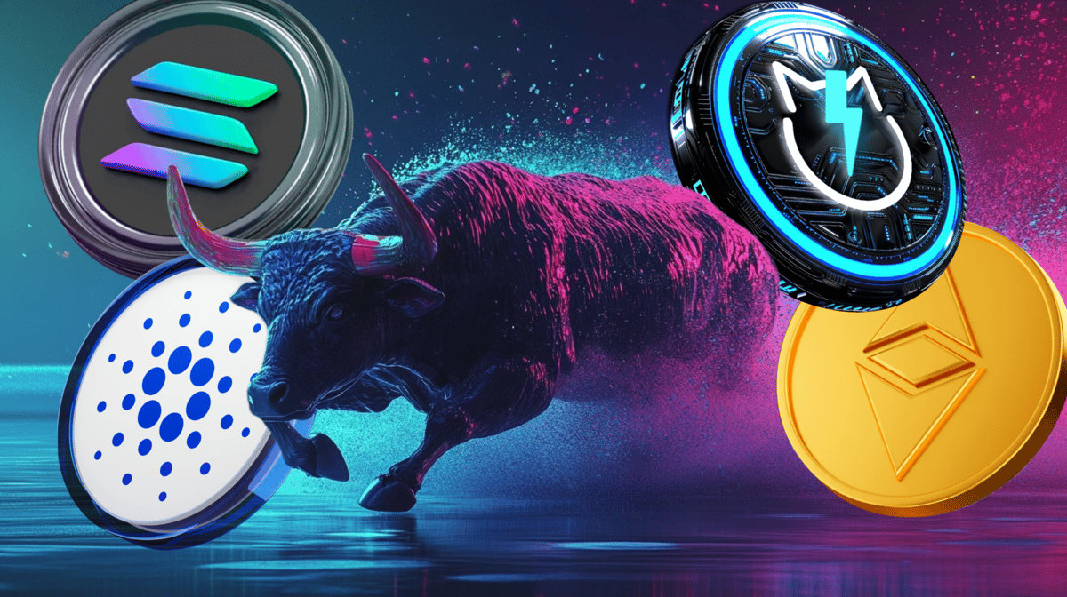 Altcoin Era: Predicting the Top Contender for 2025 Bull Run