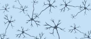 Breaking News: TYK2 Enzyme Linked to Formation of Neurofibrillary Tangles
