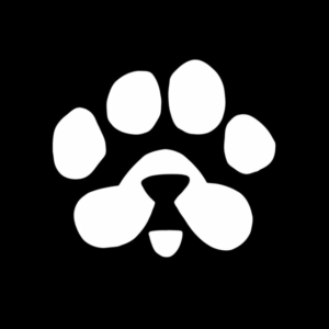 Paws Mystery Quest Reveals Surprising Clues about Missing Pet's Whereabouts