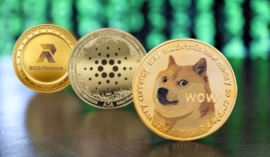 RCO Finance (RCOF) Aims for the 5$ Mark by 2025 Outpacing Dogecoin and ADA
