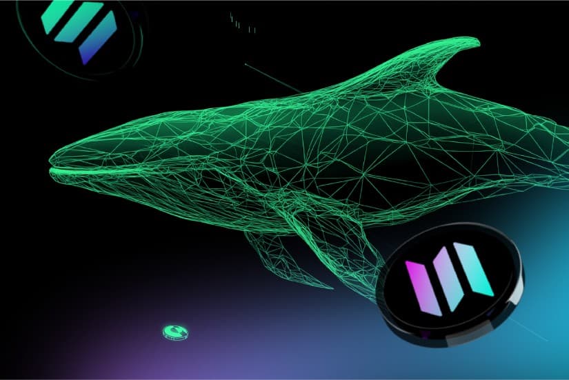 Solana’s Price Surge Mirrored by Newcomer Lunex: Could this be DeFi Reborn?