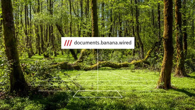 Squarecrows: NFTs Revolutionizing the Physical World - Bridge Digital & Reality Scotland Nature Reserve