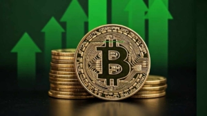 Binance CEO Urges Crypto Enthusiasts to Diversify Beyond Hodling and