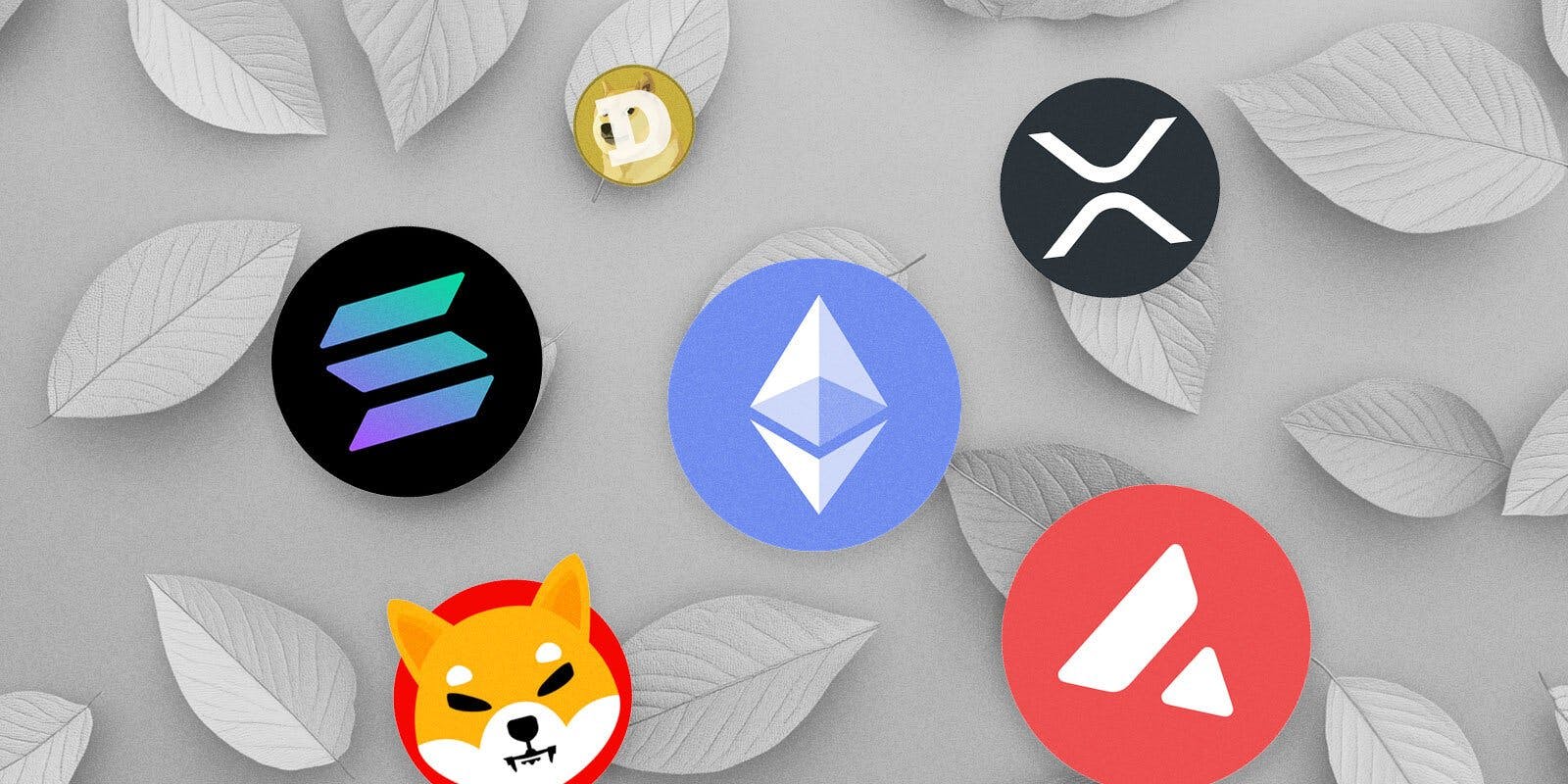 December Delight: Altcoins Surging While Bitcoin Falters in Market Shift