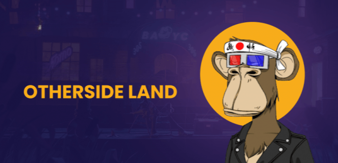 Otherside Visual